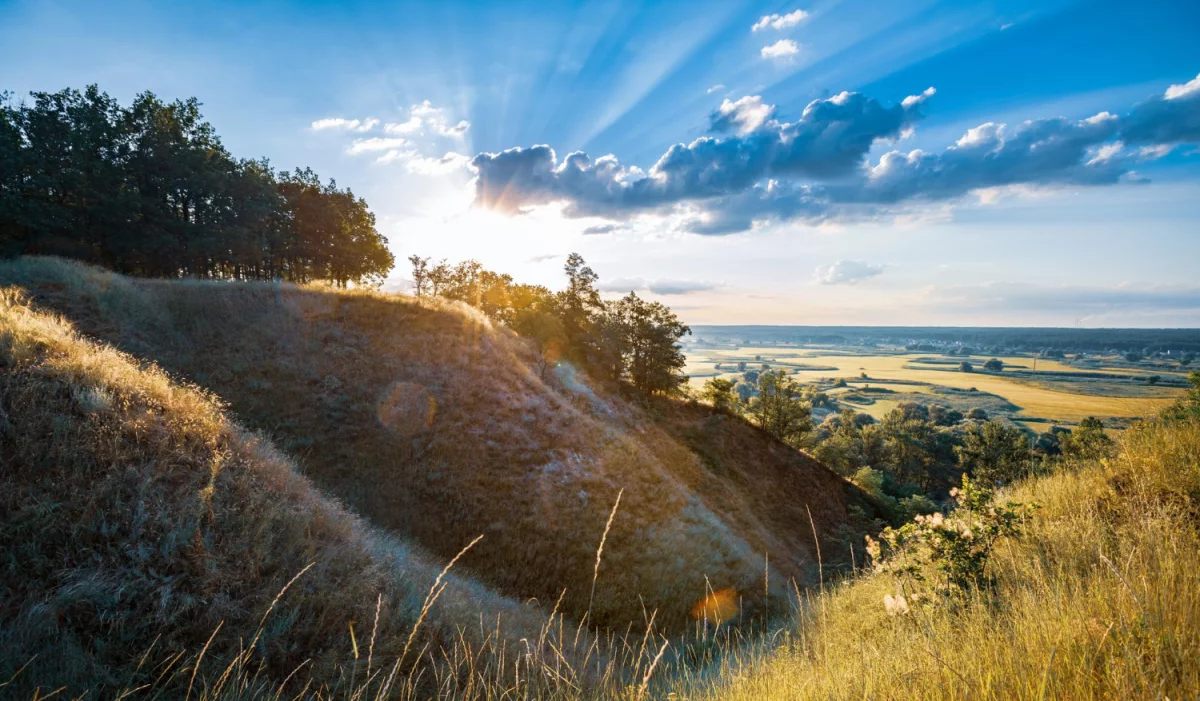 Szokujące 12 Metod Aby poprawić finanse