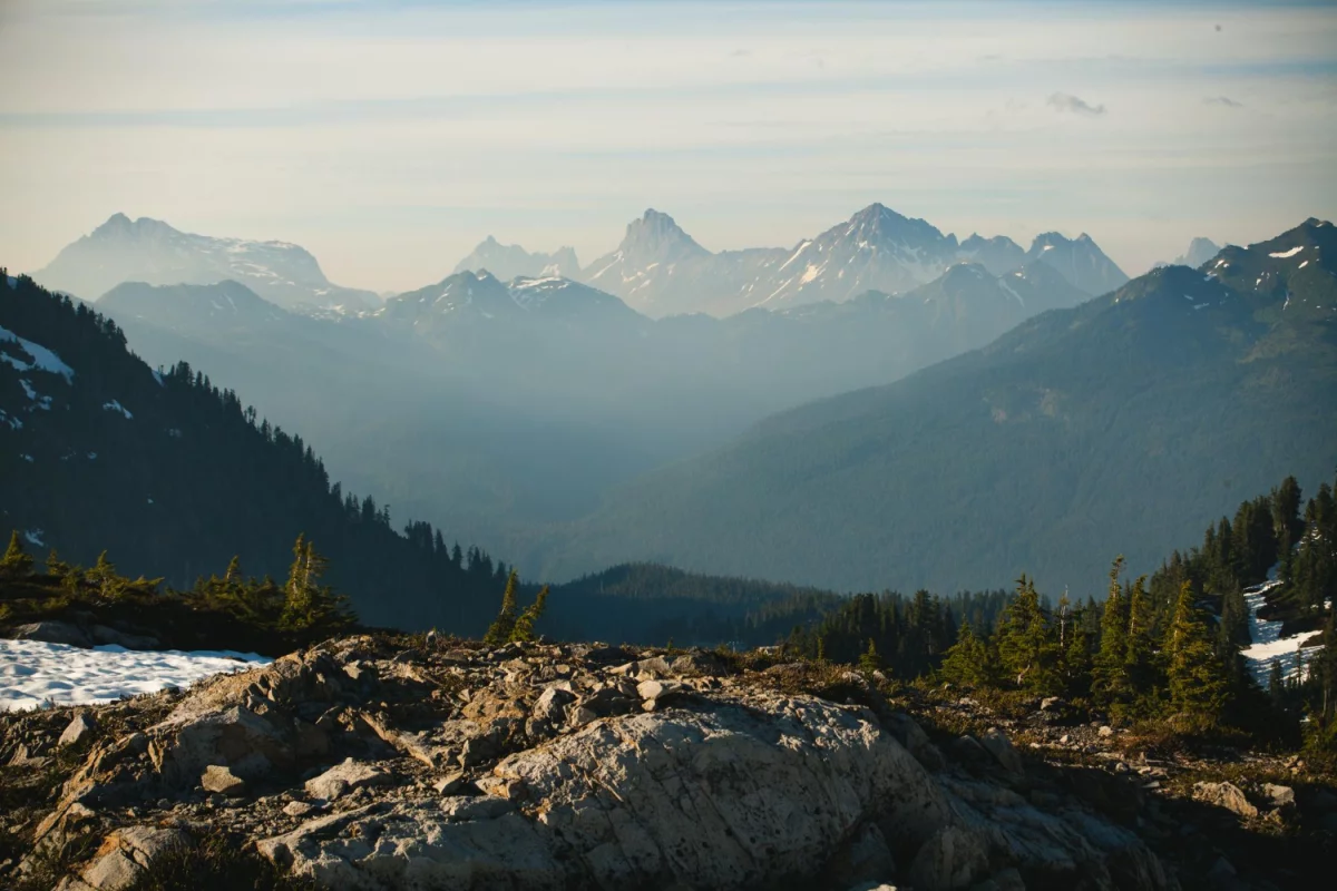 Te fakty jak wybrać mechanika mogą Cię zdziwić