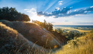  Can you choose a chauffeur during the day? 