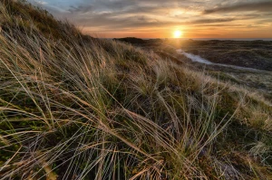 Jak obsłużyć bhp i zarobić?