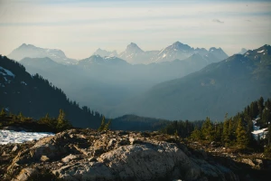 Jak jeździć autem i zarobić?